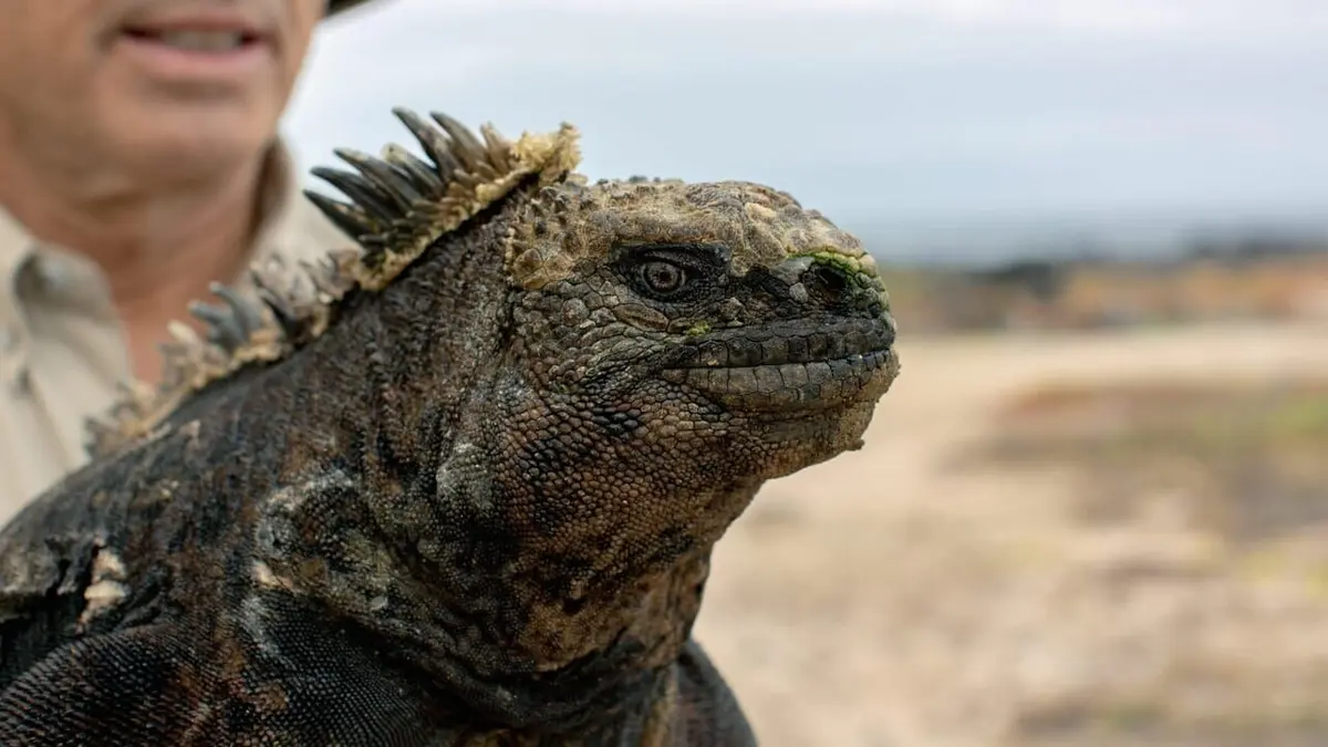 Espèces en voie d'adaptation Planète Terre