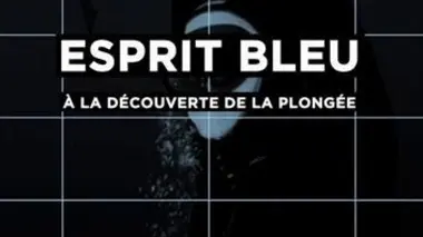 Fédération française d'aéromodélisme