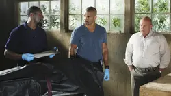 Esprits criminels S05E20 L'homme illustré