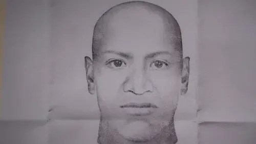 Esprits violents : à l'écoute des tueurs Reggie/Reginald