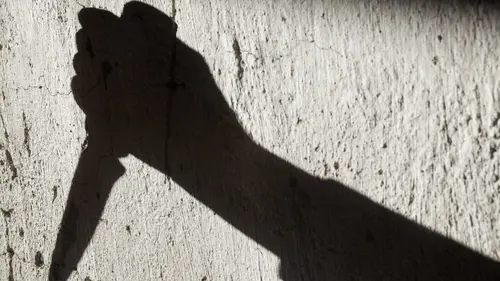 Esprits violents : à l'écoute des tueurs Ted Bundy