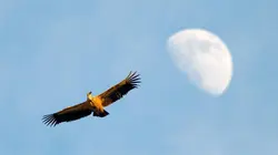 Estrémadure, un paradis naturel en Europe