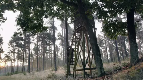 Et l'homme créa la chasse