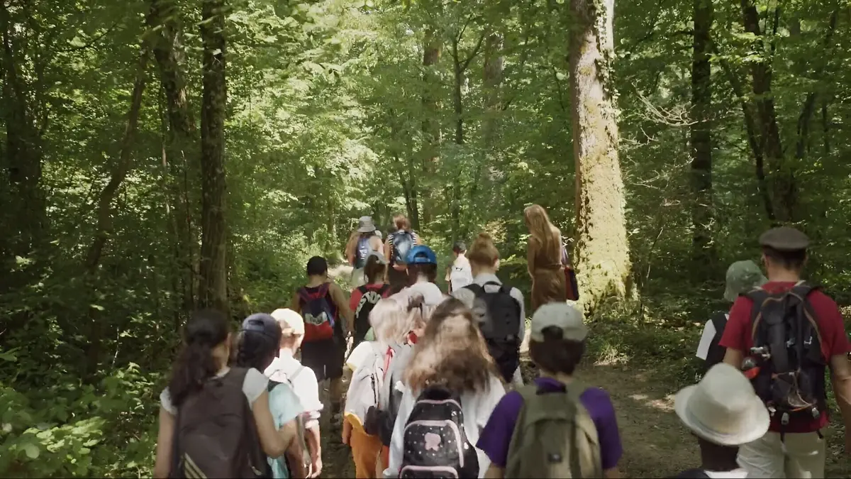 Et si on levait les yeux ? Une classe face aux écrans