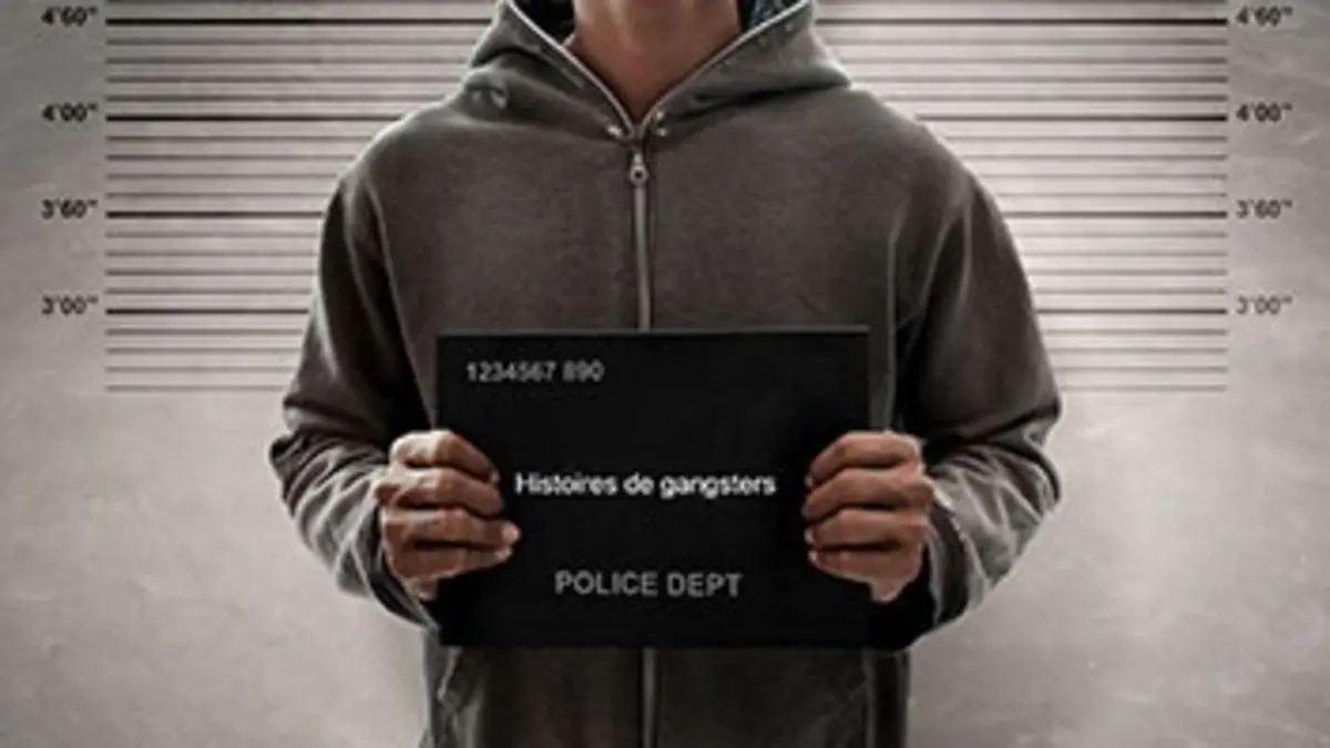 Etat de choc Gangs et prisons de haute sécurité : terreur en Amérique