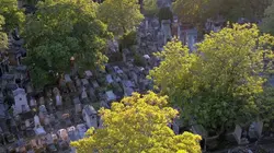 Eternel jardin : Le cimetière du Père-Lachaise