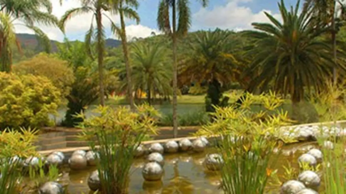 Etonnants jardins E03 Le jardin Inhotim, Brésil
