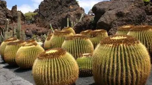 Épisodes de Etonnants jardins