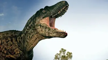 Un tyrannosaure dans la basse-cour