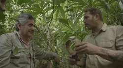 Etranges et mystérieux monstres Mégalania