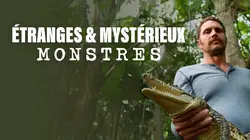 Etranges et mystérieux monstres L'araignée banane