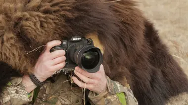 Les crocodiles géants du Limpopo