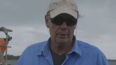 Le serpent de mer australien