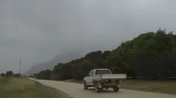 Etranges et mystérieux monstres Mégalania