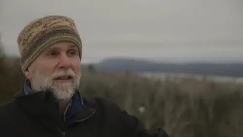 Etranges et mystérieux monstres Le loup gris