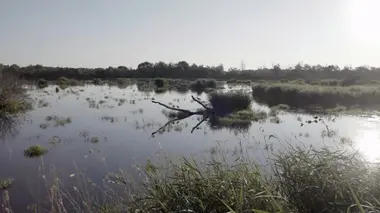 La Brenne, les liens de l'eau
