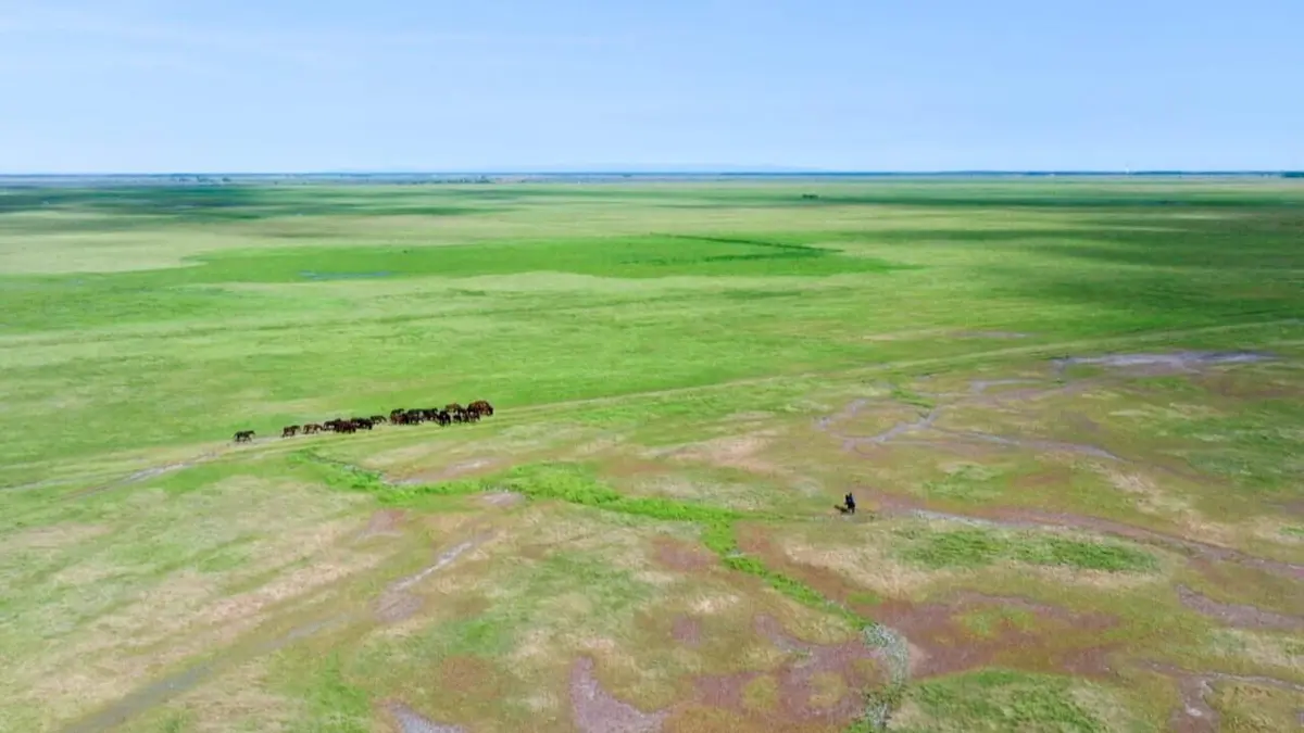 Visuel de Europe sauvage, la part de l'homme La Brenne, les liens de l'eau
