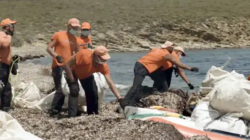 Europe, un continent bouleversé S01E05 Préserver le vivant