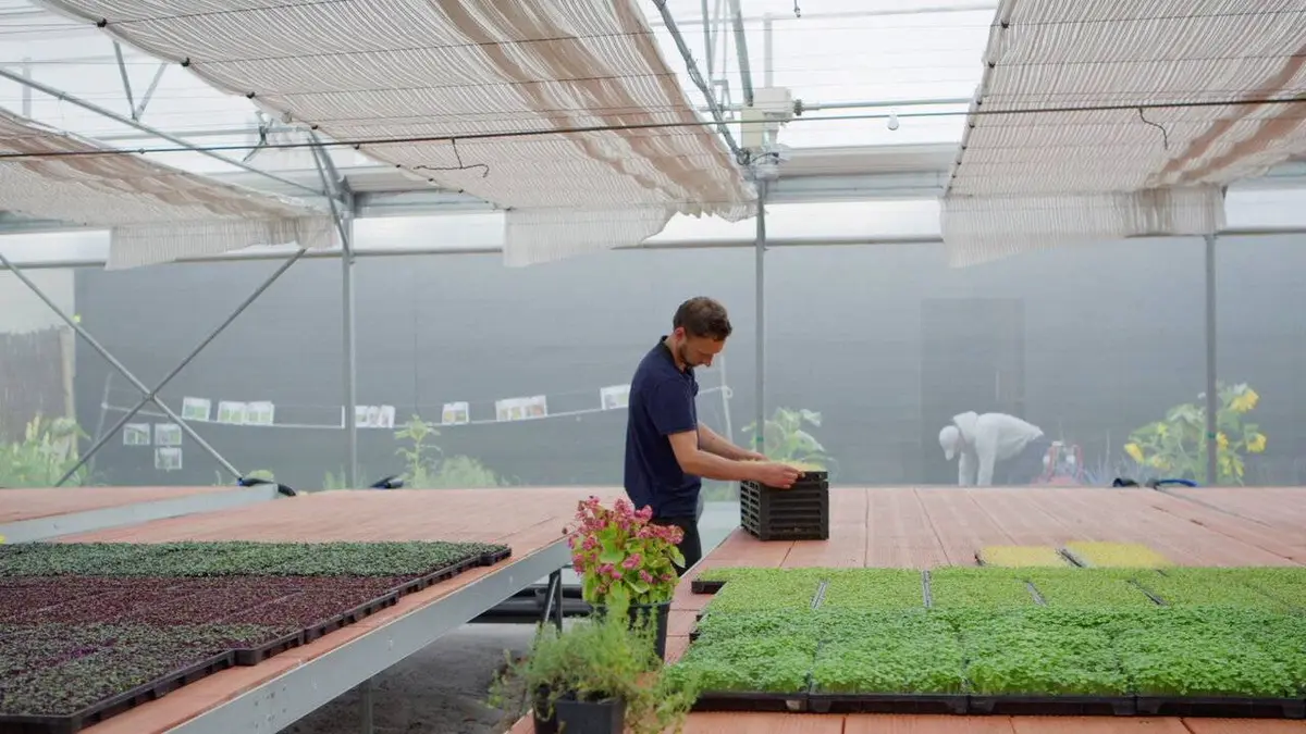 Europe, un continent bouleversé