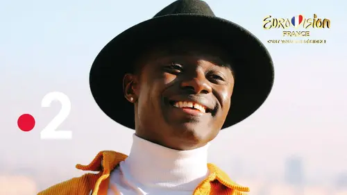 Eurovision France, les finalistes