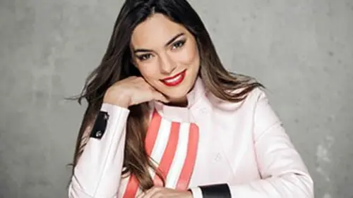 Eurovision, l'entrée de l'artiste