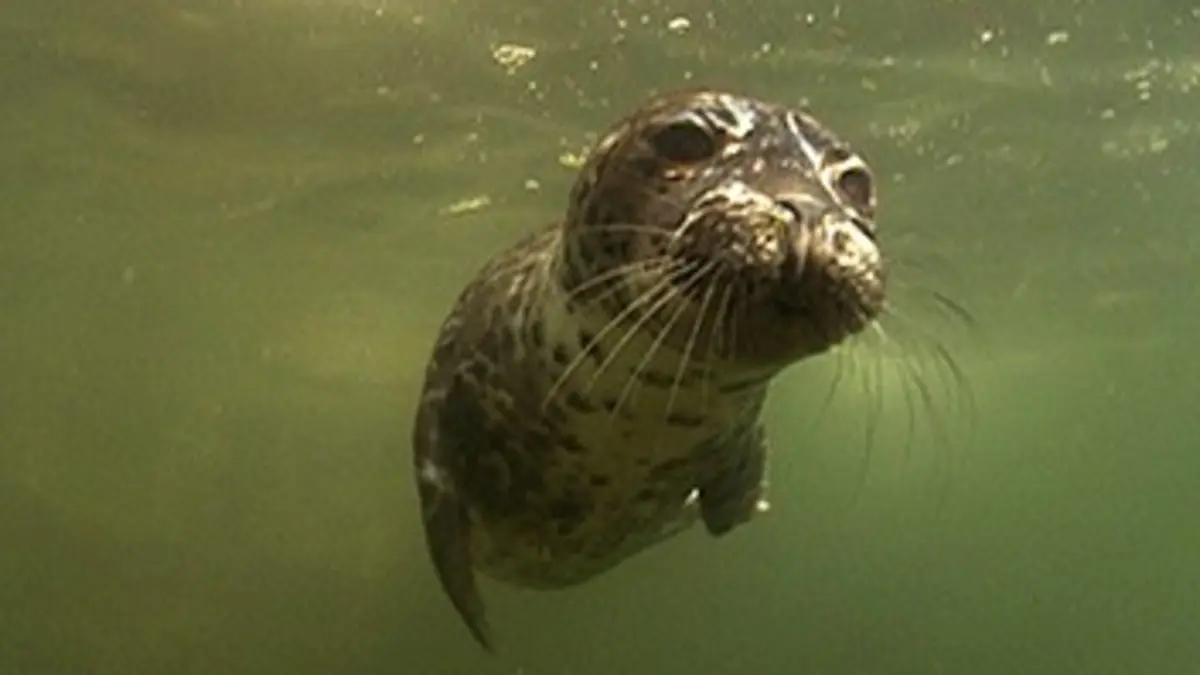 Casting Expédition 50° E04 L'océan Atlantique