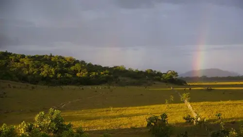 Expédition aux sources de l'Essequibo E04 Le Sud sauvage