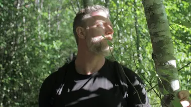Les créatures de la forêt