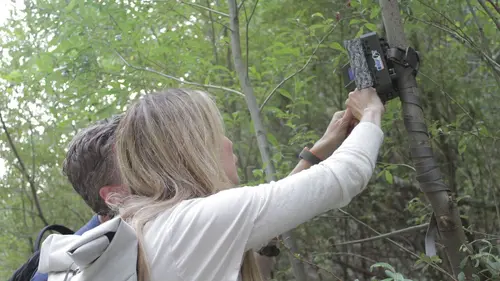 Expedition Bigfoot Diviser pour mieux régner