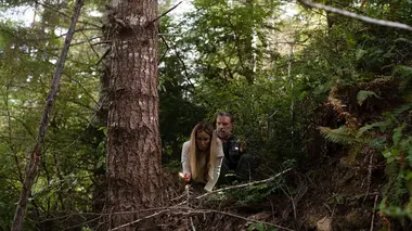 Dans la tanière du Bigfoot