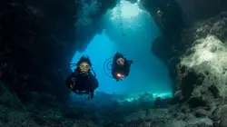 Expedition Bigfoot Il sait qu'on est ici