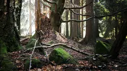 Expedition Bigfoot L'enquête commence