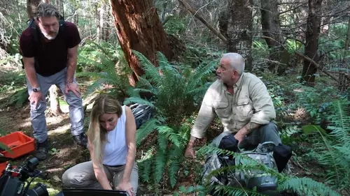 Expedition Bigfoot Anomalie paranormale