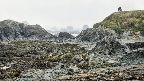 Expedition Bigfoot Nids de géants en streaming