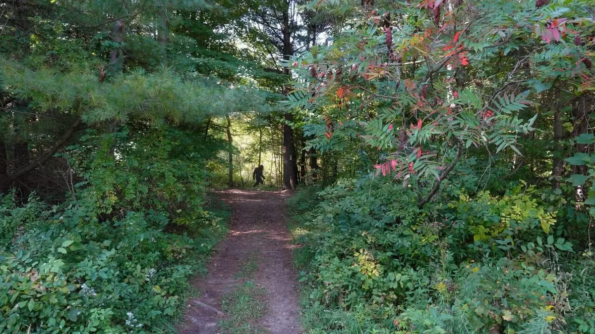 Expedition Bigfoot Ça sent le Bigfoot