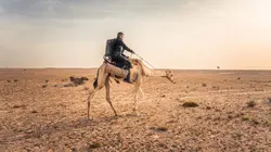 Expédition en Arabie : les mystères d'un monde oublié Désert d'Oman
