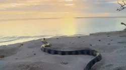 Expédition Grand Lagon Sud