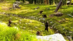 Expédition Pairi Daiza S07E03