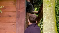 Expédition Pairi Daiza S07E04