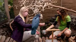 Expédition Pairi Daiza S07E04