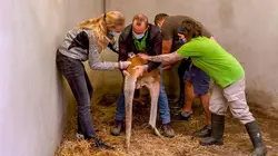 Expédition Pairi Daiza S07E07