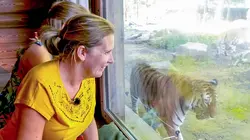 Expédition Pairi Daiza S07E08