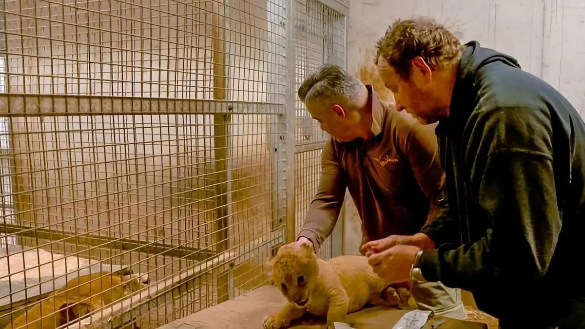 Expédition Pairi Daiza S08E06