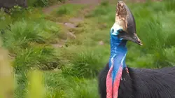 Expédition Pairi Daiza S09E04