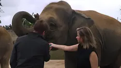 Expédition Pairi Daiza S10E04