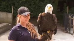 Expédition Pairi Daiza  S11E02