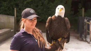 Expédition Pairi Daiza