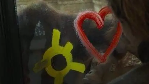 Expédition Pairi Daiza