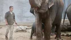 Expédition Pairi Daiza