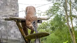 Expédition Pairi Daiza S07E05